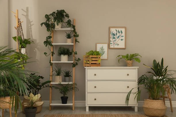 Drawer Units